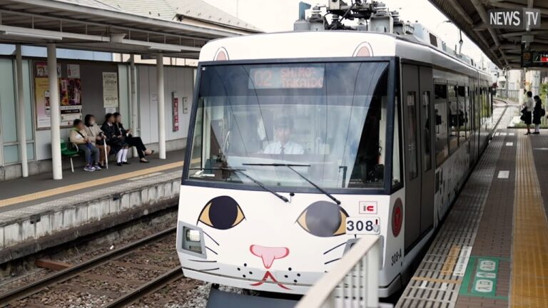 東急バス全線定期券の魅力と利便性
