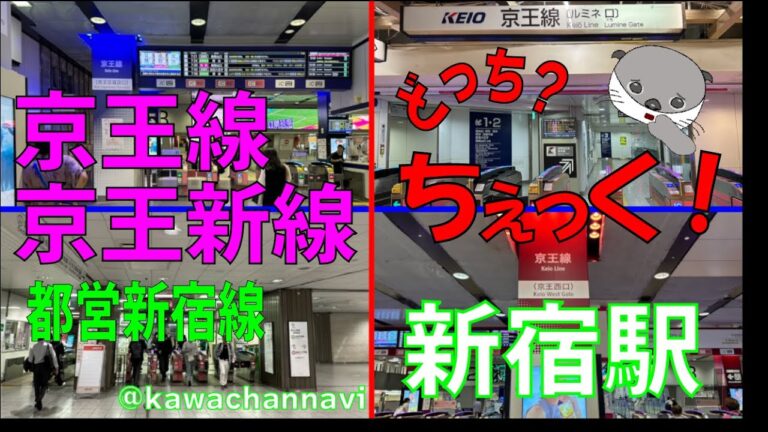 新宿駅新都心口の魅力とアクセスガイド