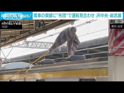 架線支障とは？原因と対策解説