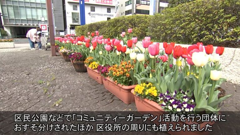 江東区文化センターのイベント予定ガイド