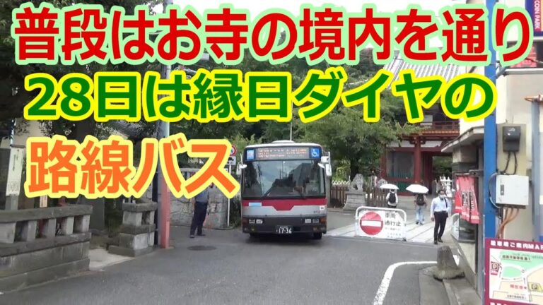 東京ダイヤビルバスの便利な利用法