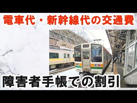 新幹線障害者割引と療育手帳の活用法