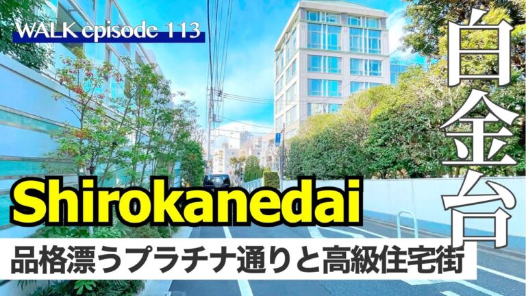 プラチナ通りの地図ガイド | Actualizado julio 2026