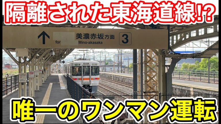 美濃赤坂線の時刻表ガイド