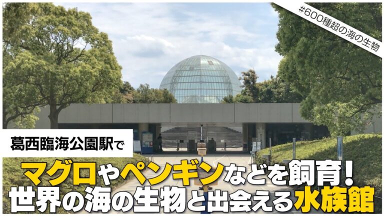 葛西臨海公園駅の路線図ガイド
