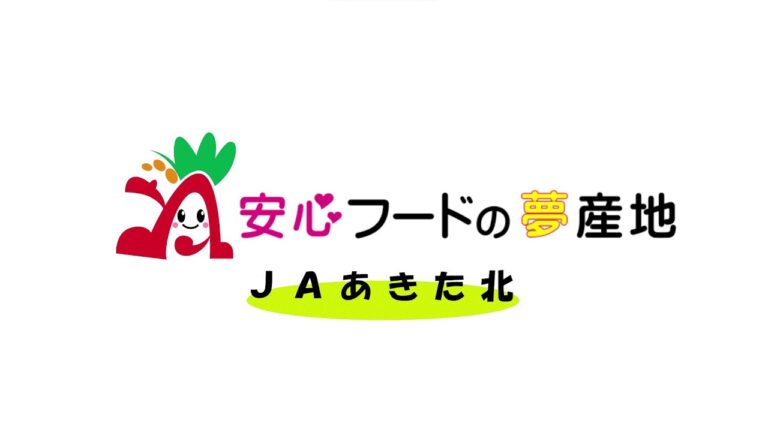 きたのちか動画の魅力とおすすめコンテンツ