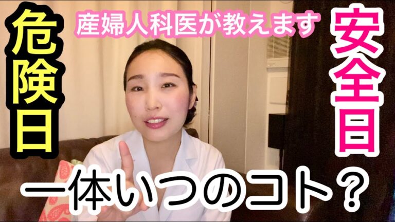 安全日計算ツールの最適活用法