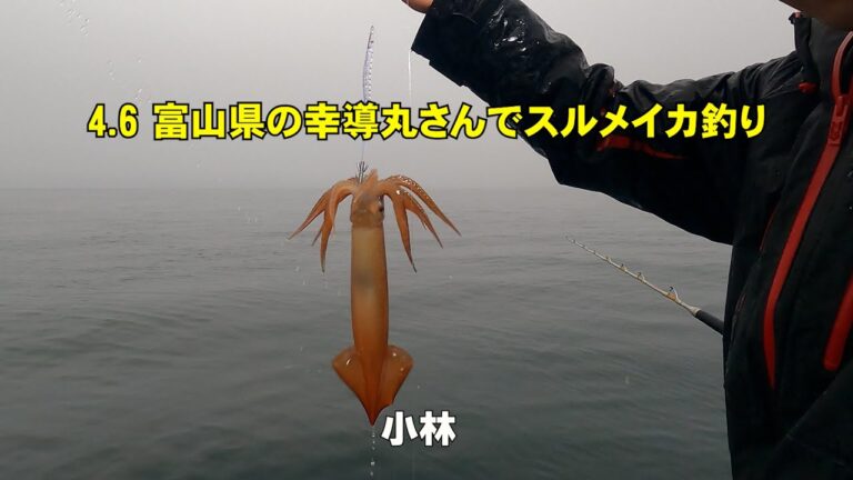 こうどうまるの魅力と活用法