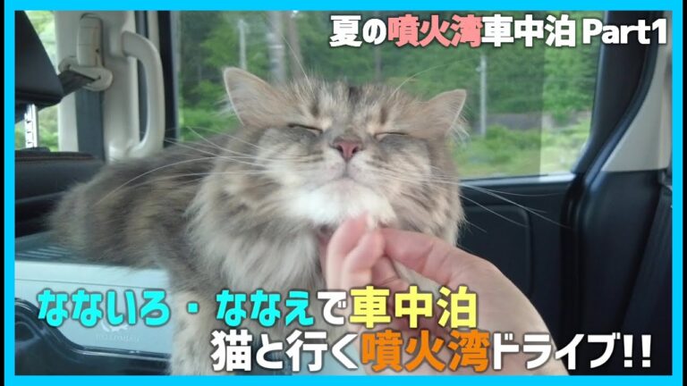 現在地から中山駅への最短ルートガイド