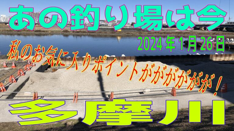 多摩川ポイントクラブの魅力と特典
