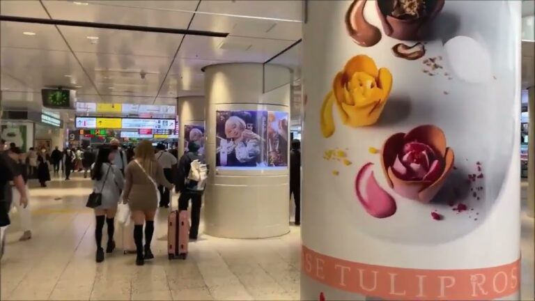 東京駅丸の内北口へのアクセスガイド