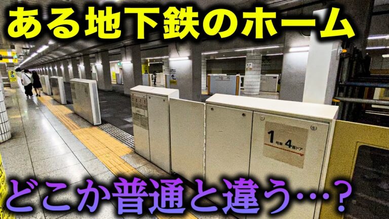 豊洲駅2番出口の魅力ガイド