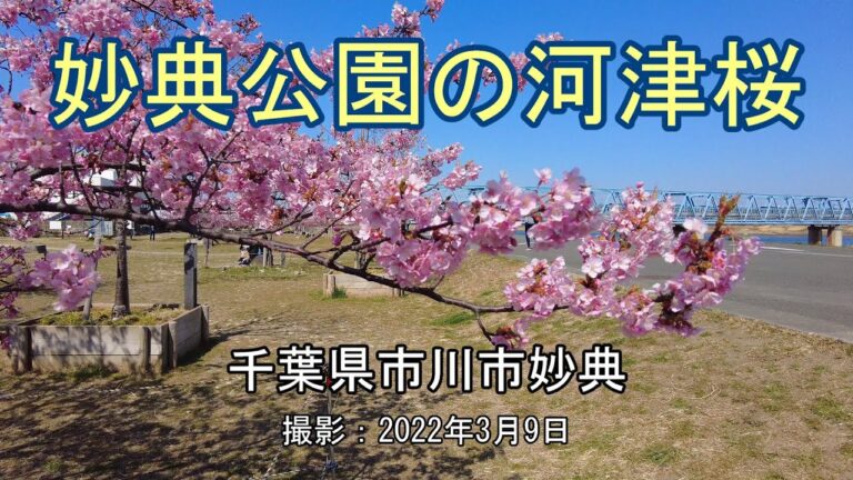 妙典公園の魅力と楽しみ方
