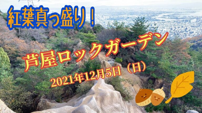 ここから岡本駅までの最短ルートガイド