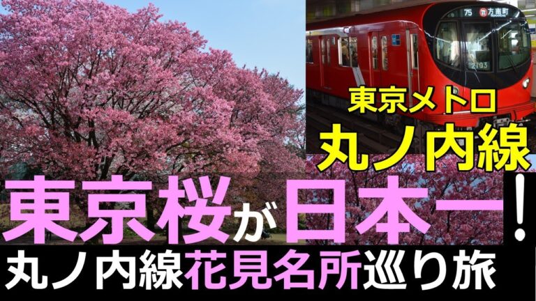 丸ノ内線沿線の観光スポットガイド