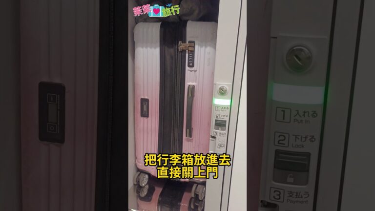 上野駅での荷物預かりサービスガイド